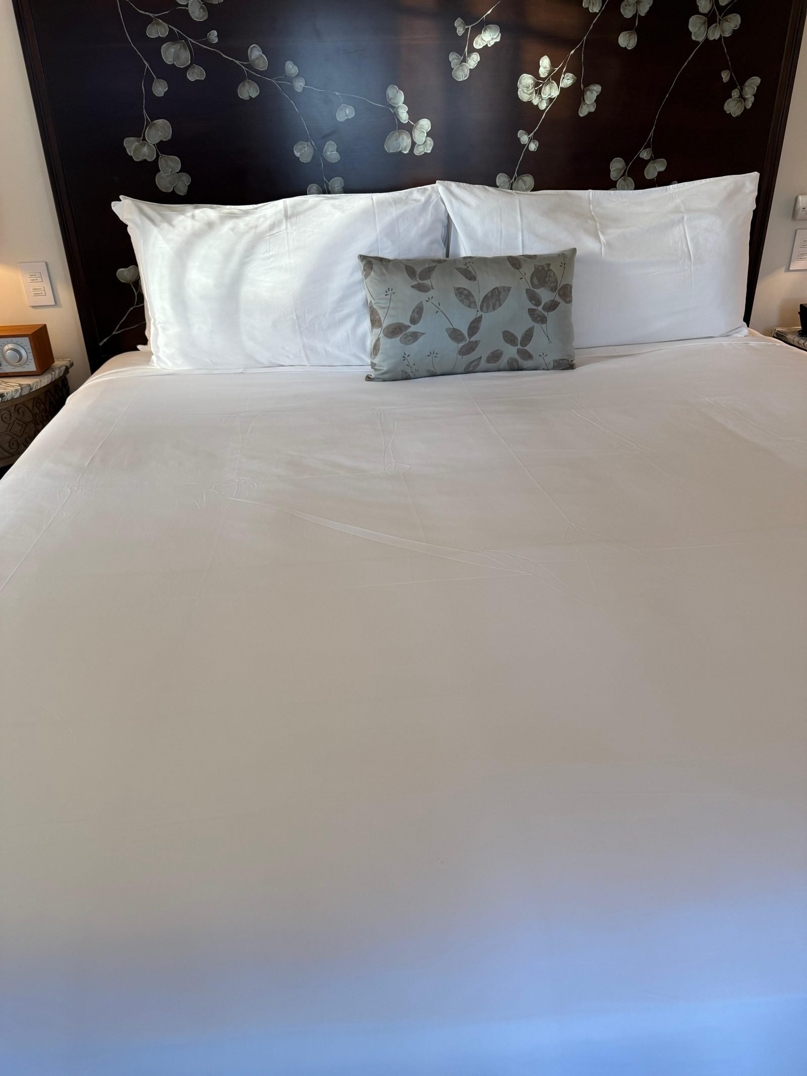Bedroom finished with cushions and a smooth bedspread